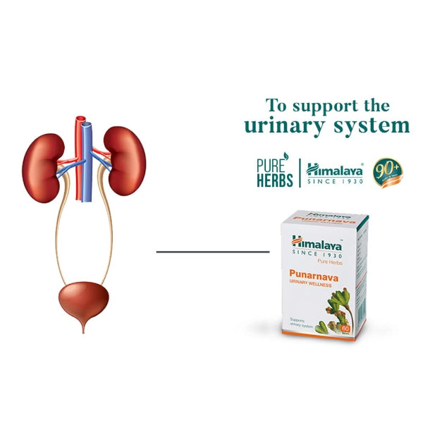 Himalaya Punarnava Tablets 60’s – Ayurvedic Kidney Support & Natural Detox | Indiaista