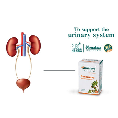 Himalaya Punarnava Tablets 60’s – Ayurvedic Kidney Support & Natural Detox | Indiaista